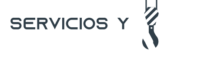 Servicios y Gruas